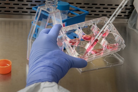 Laboratory Consulting Services