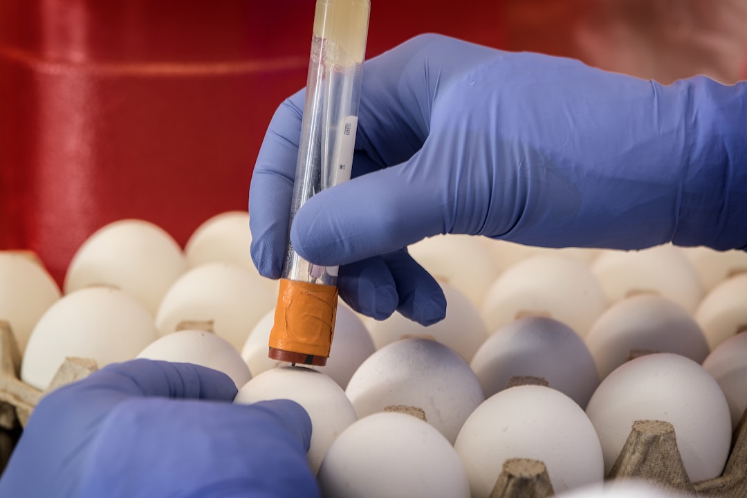 white eggs on tray