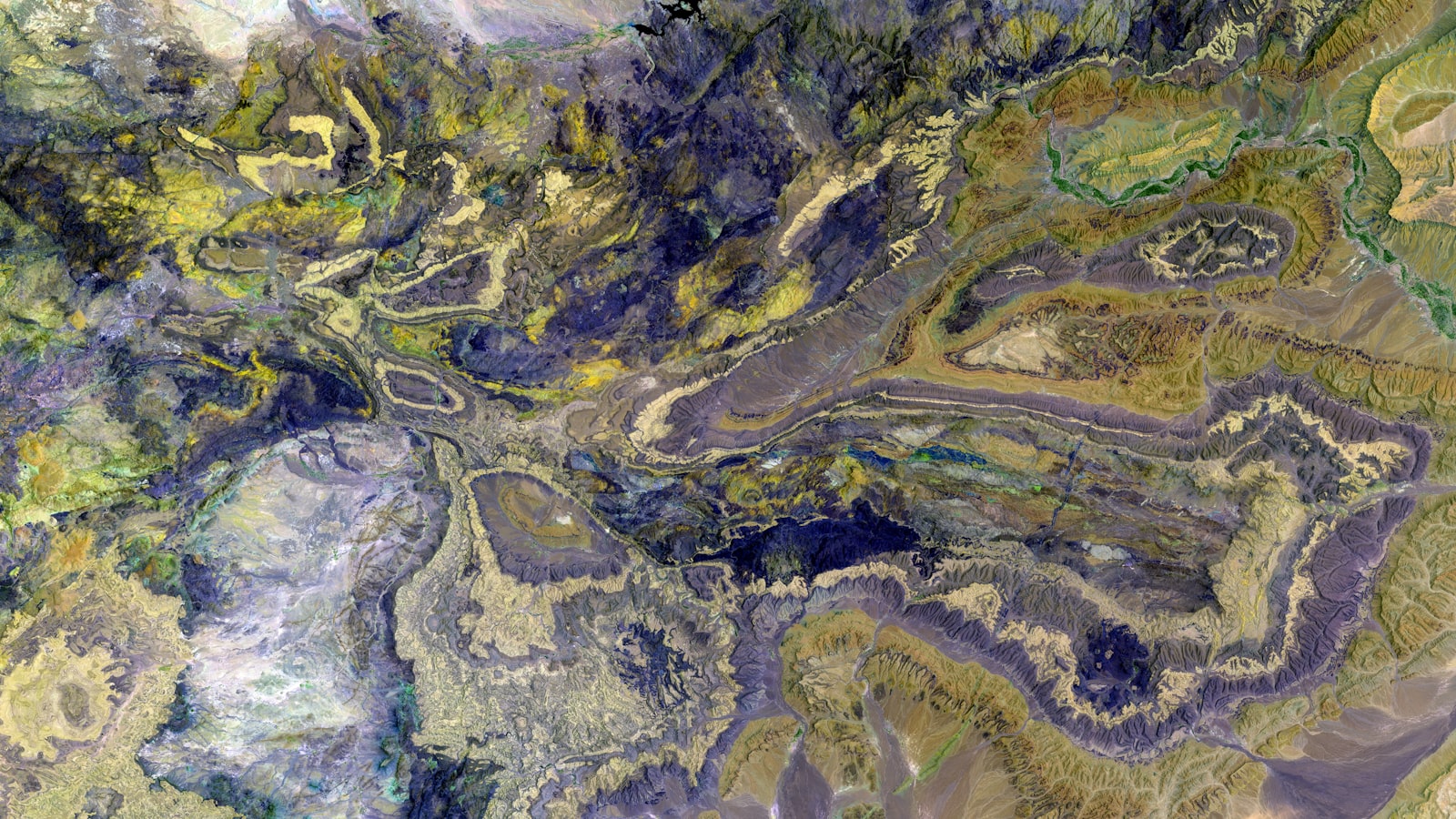 Where Do Almug Trees Grow – Up-Gardening