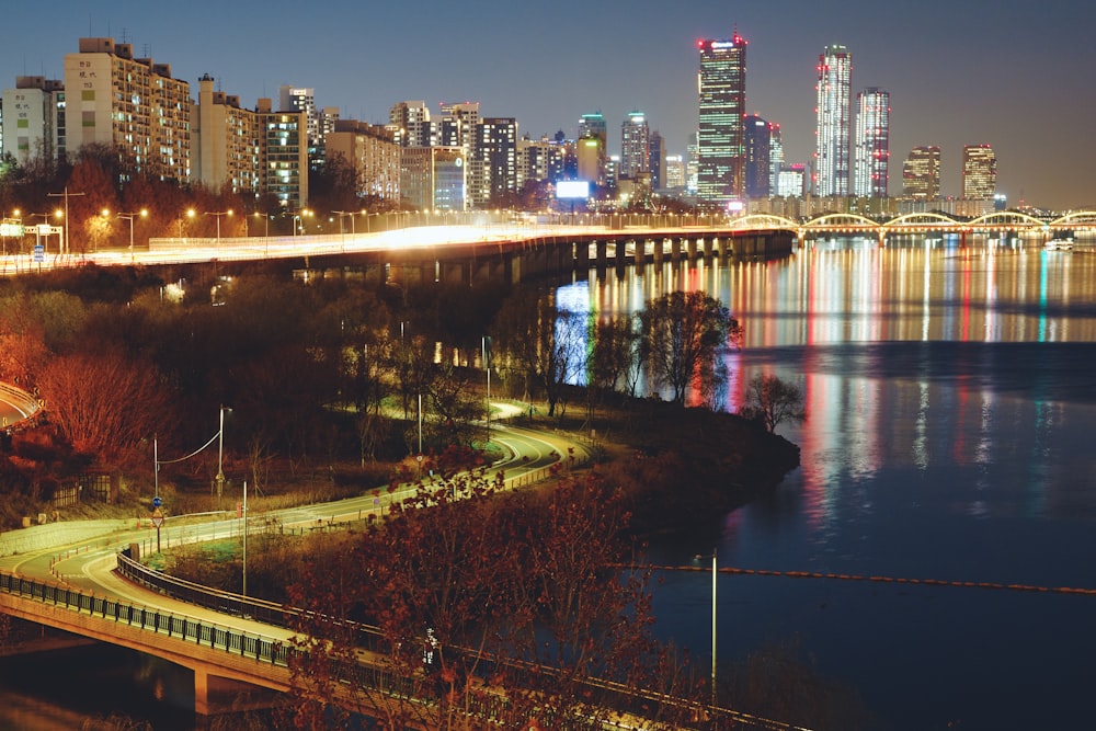 city with high-rise buildings near body of water during night time