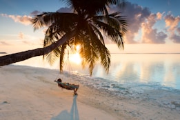 person swinging on hammock hanged on coconut tree near sea