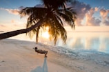 person swinging on hammock hanged on coconut tree near sea