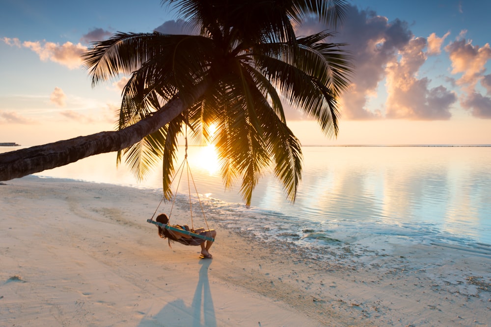 Person, die auf einer Hängematte schaukelt, die an einer Kokospalme in der Nähe des Meeres aufgehängt ist