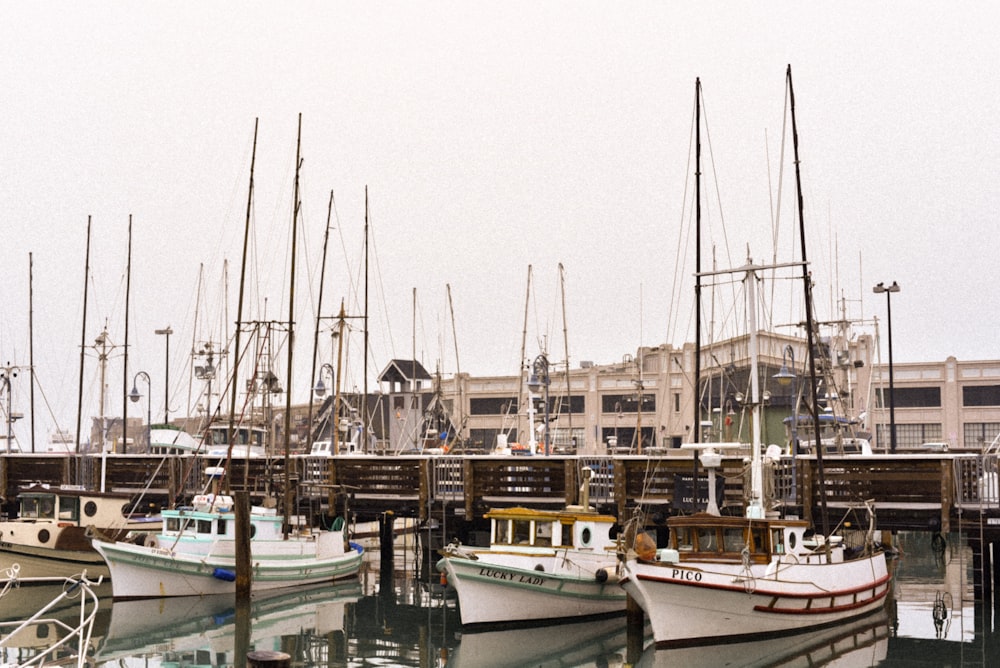 four white fishing boats parked behind building