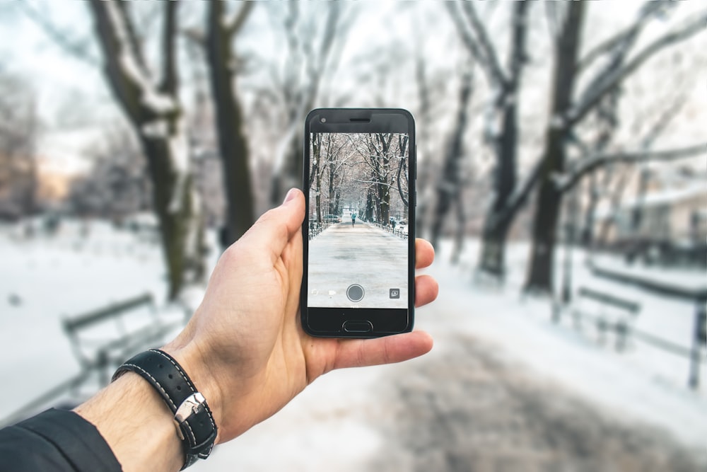 campo e alberi coperti di neve