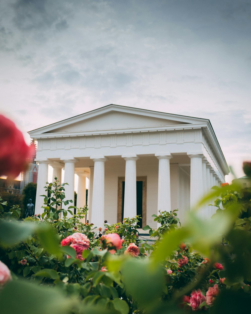 white building near rose flower garden under white and blue sky