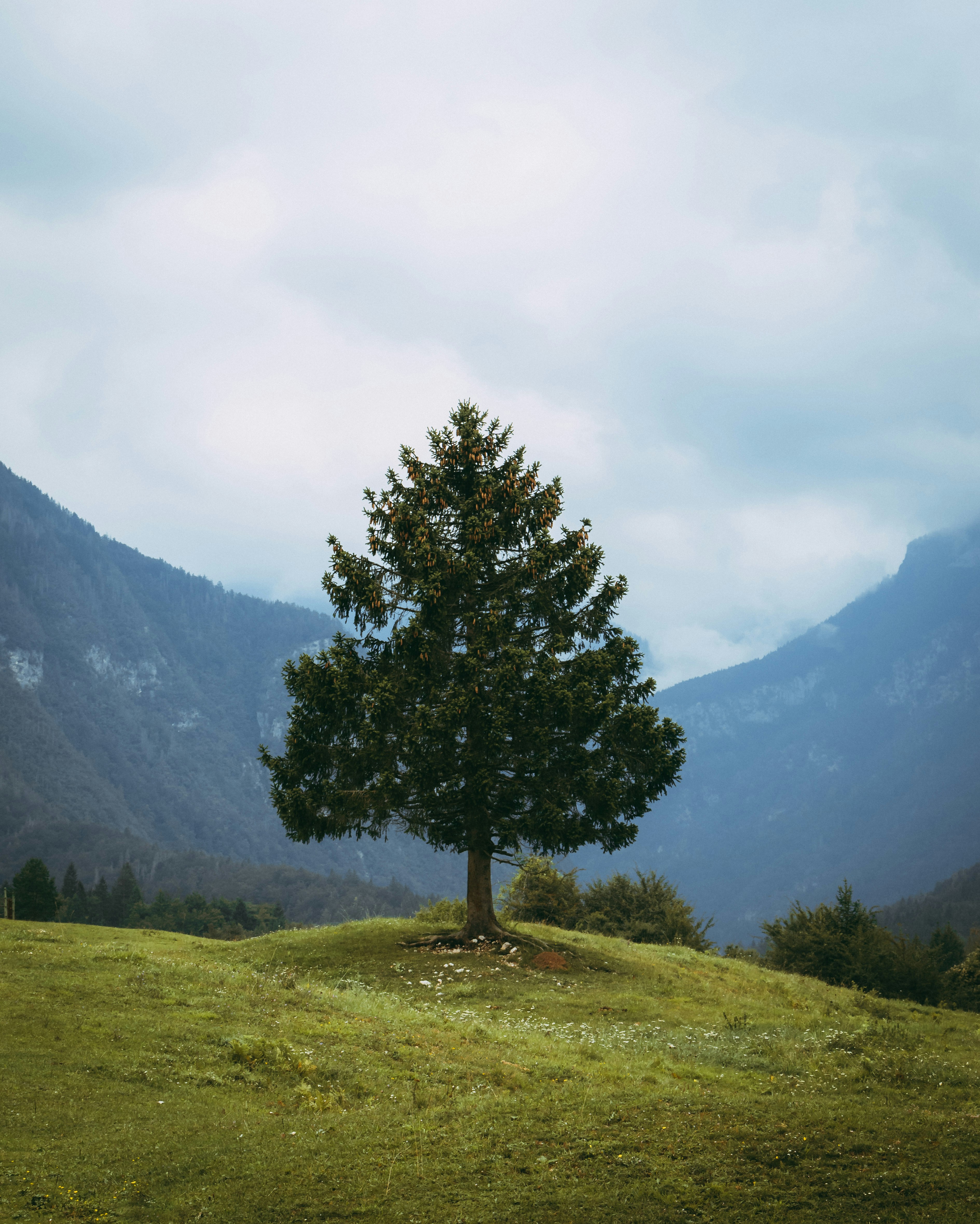 Photo by mrsimonfischer