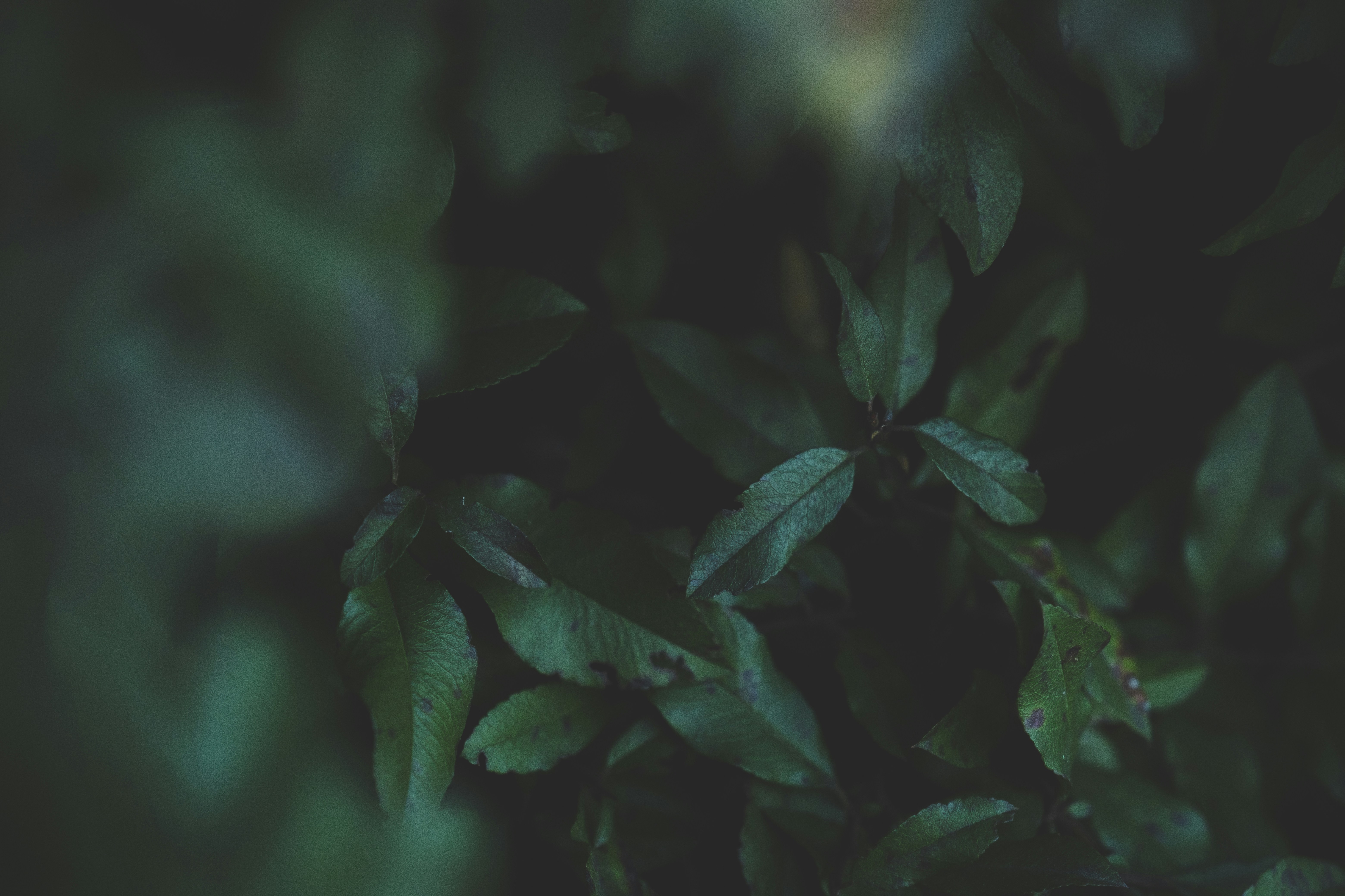 Photo by __matthoffman__