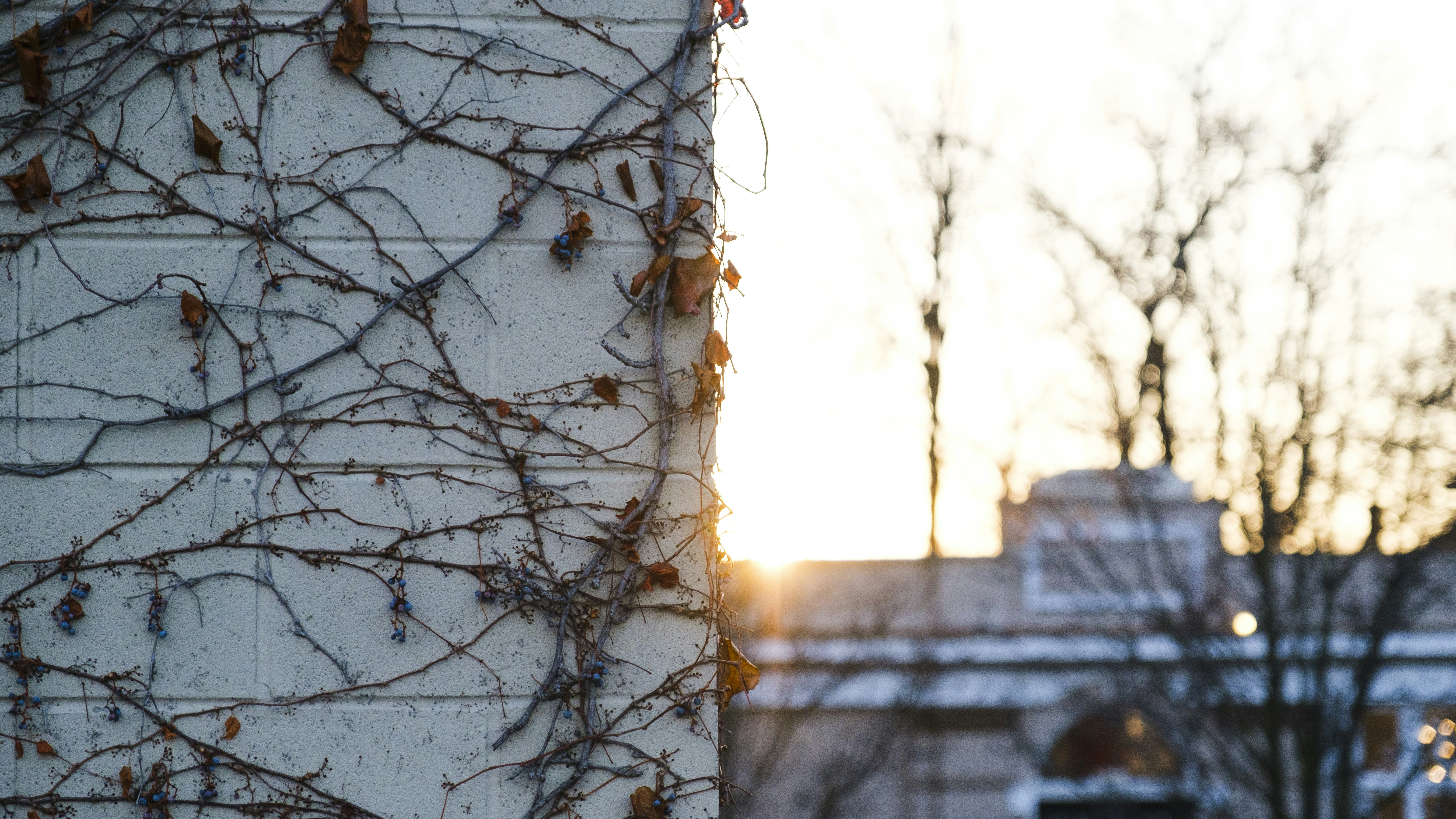 Photo by __matthoffman__