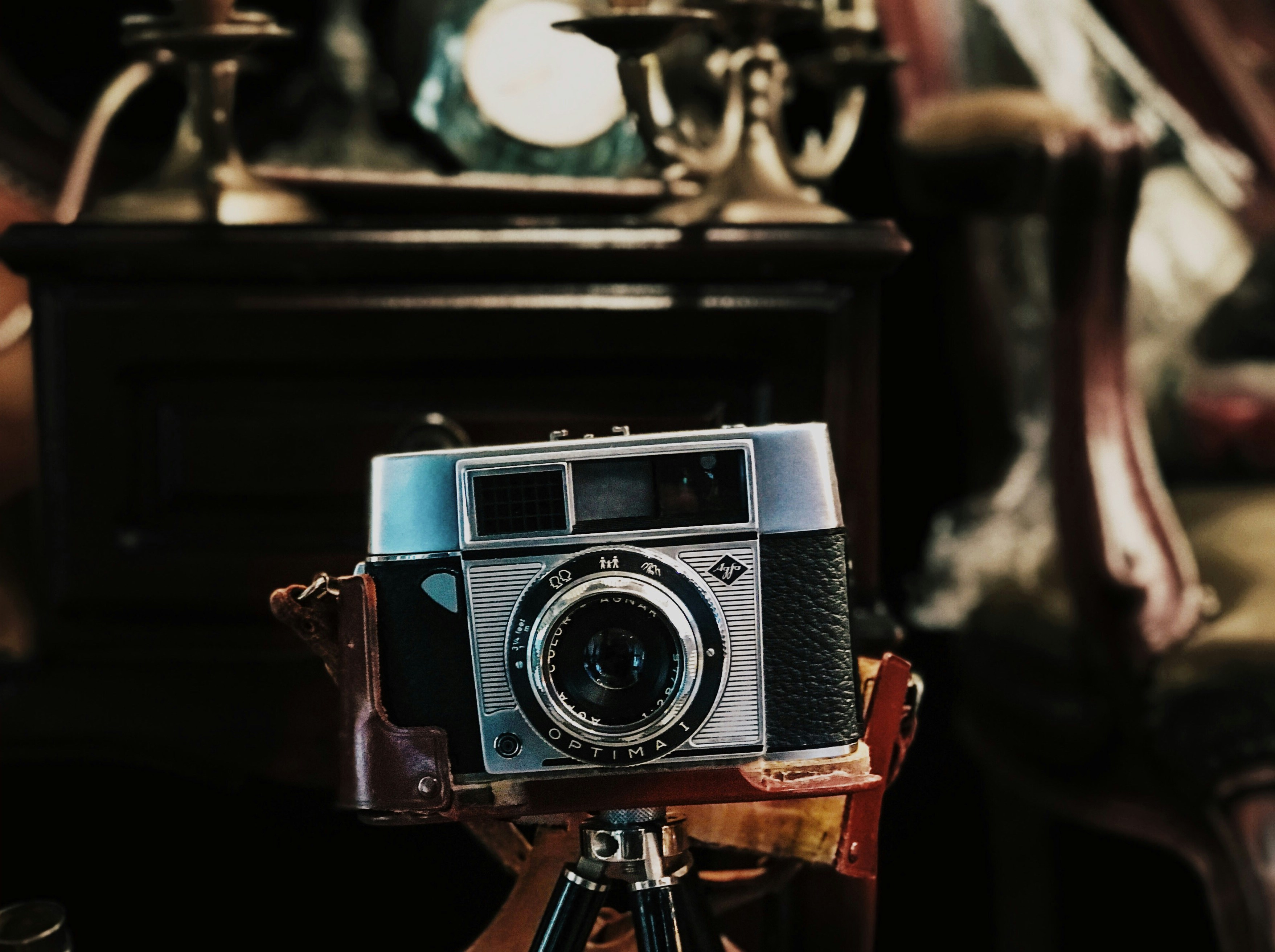 Photo by mateipruteanu