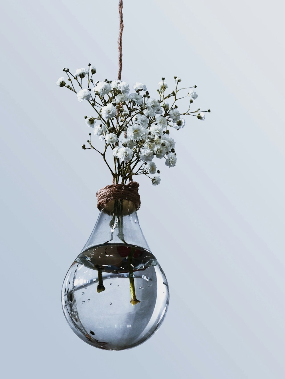 a glass vase with flowers in it hanging from a rope