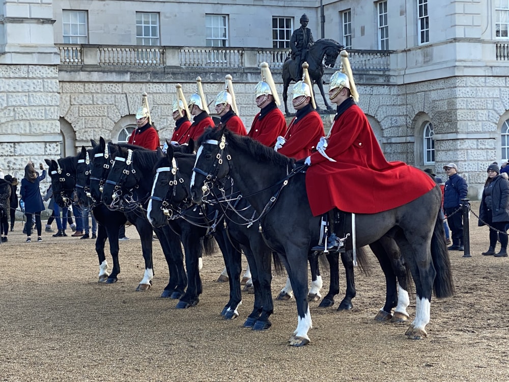 knights riding on black horse during daytime