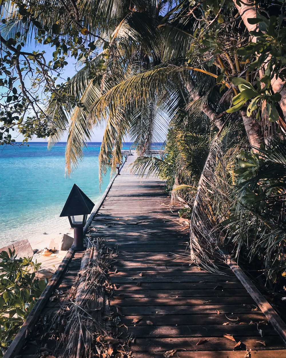 wooden walkway at daytime