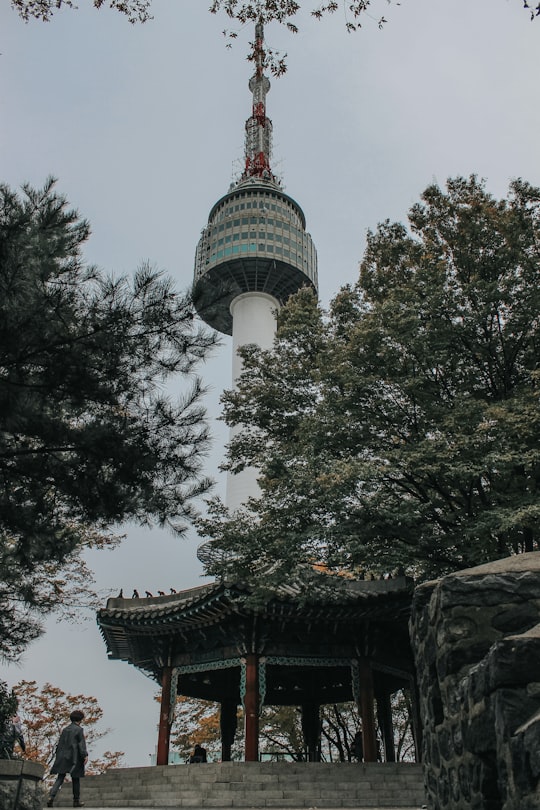few people near green temple surrounded with green trees during daytime in Seoul Tower South Korea