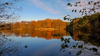 A framed fine art print of a serene lake reflecting autumn colors.