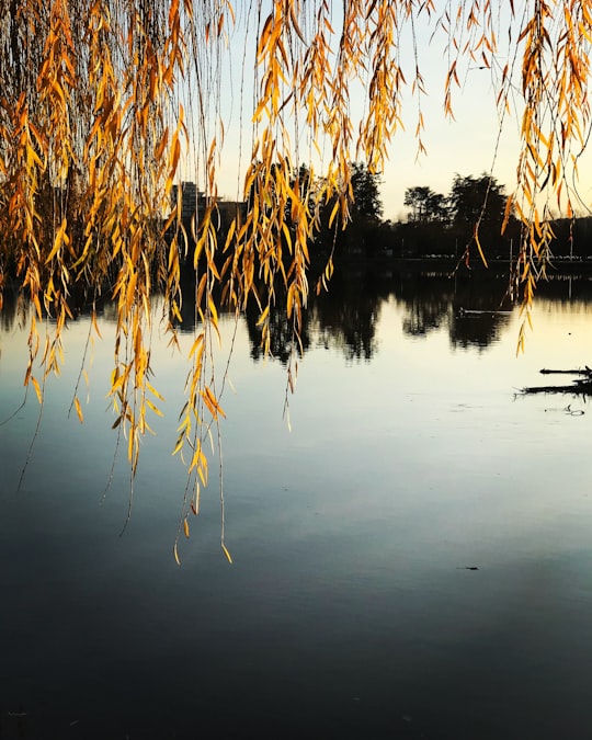 photo of Vichy Lake near Cathédrale Notre-Dame-de-l'Assomption