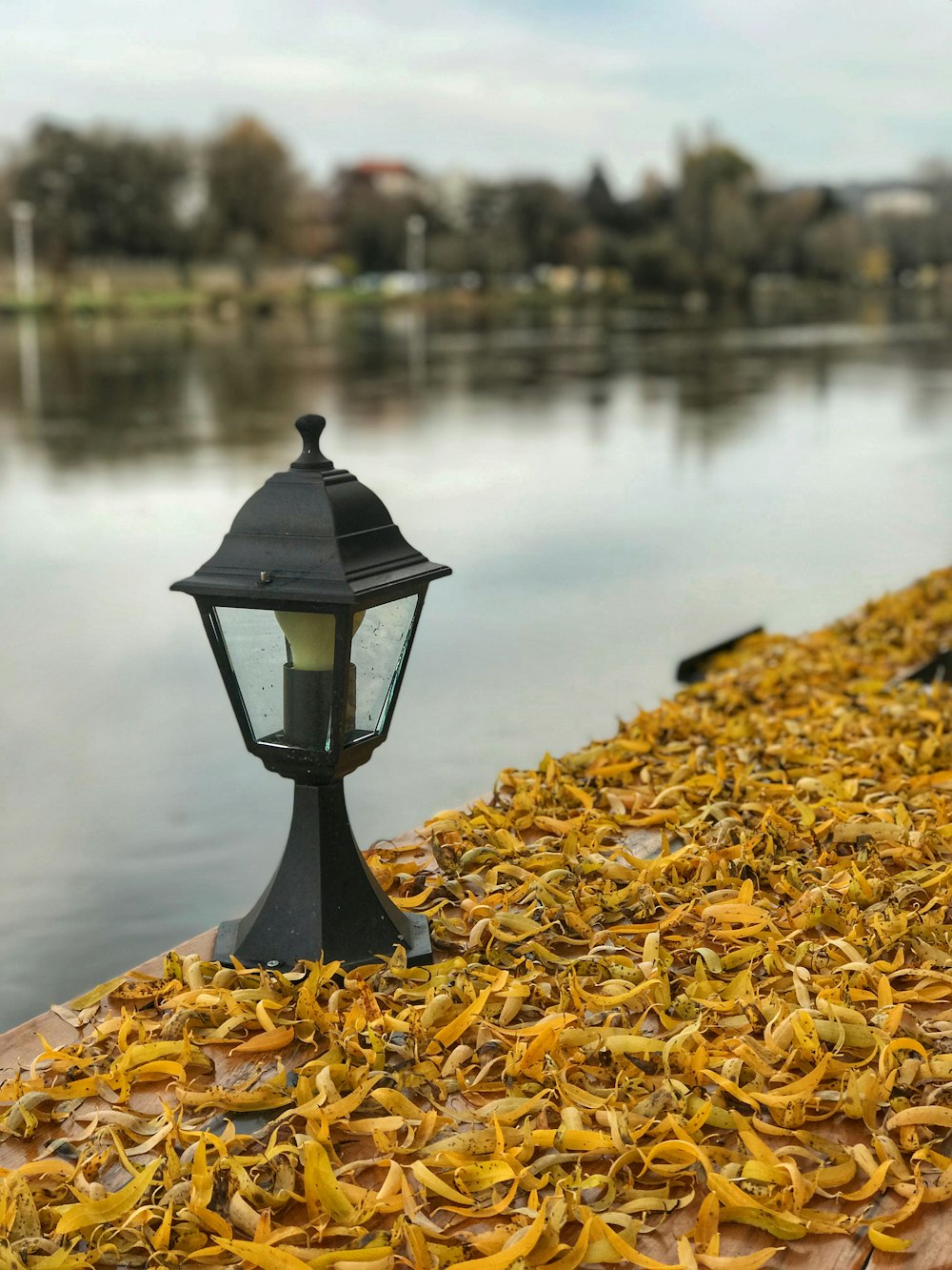 black lamp near body of water