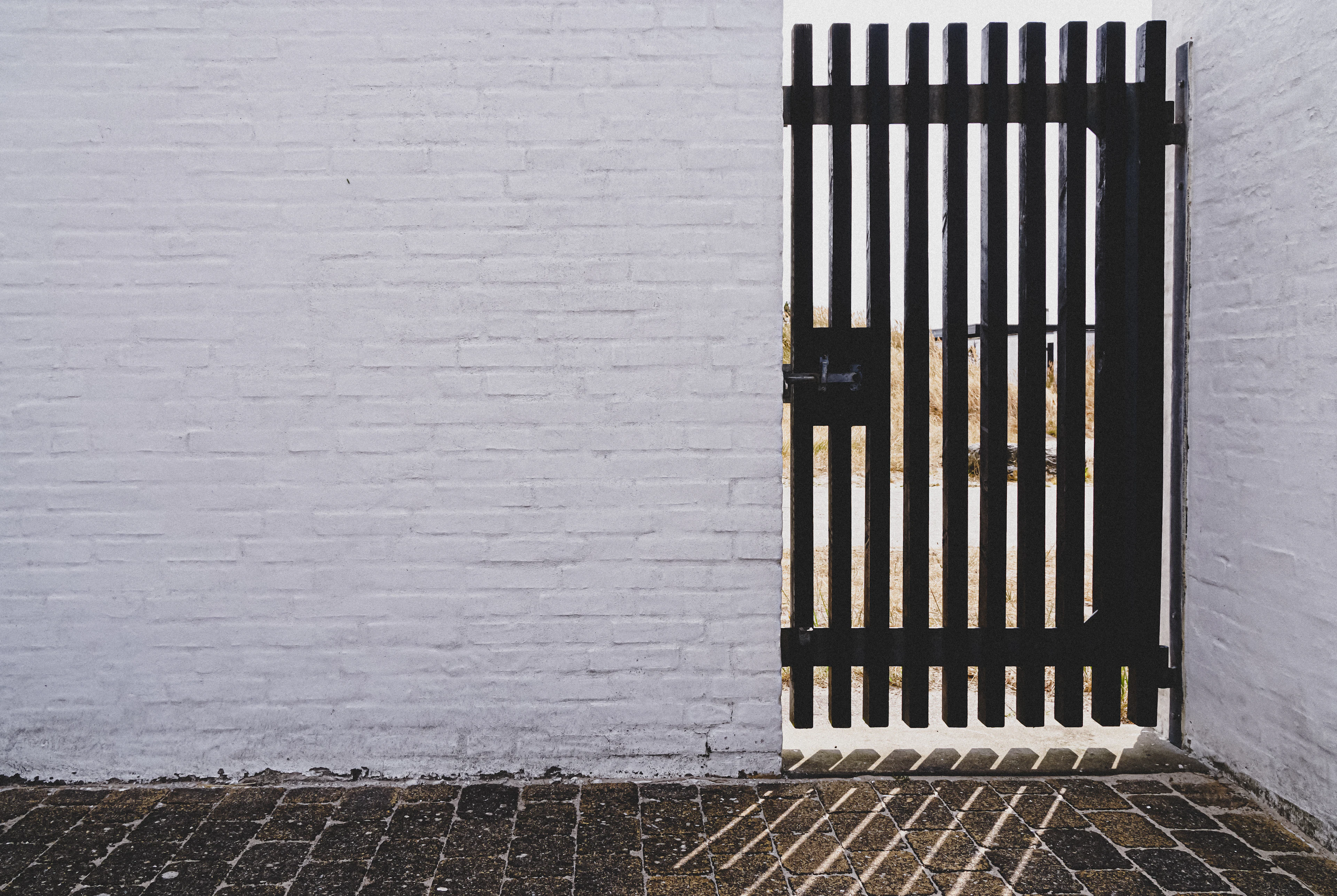 Black gate panel with a metal latch