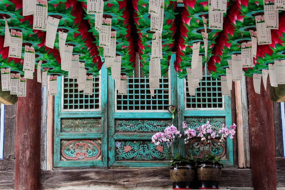 two pots of white-and-pink-petaled flowers in front of blue wooden door panel