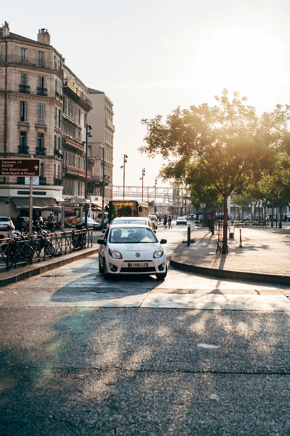 white car beside trees