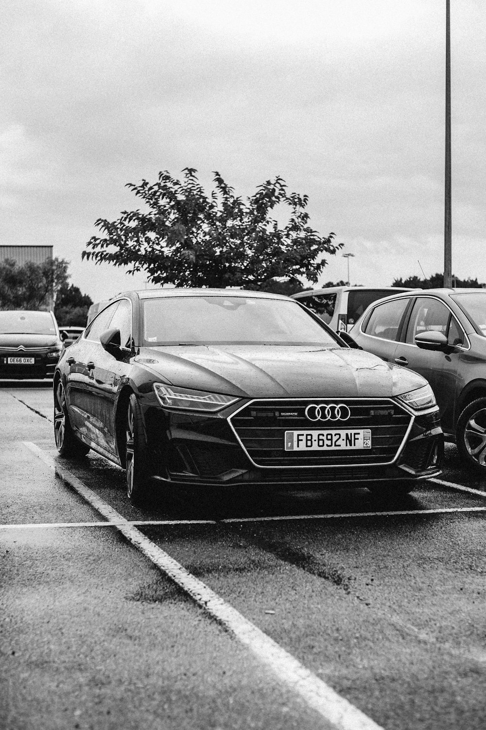 black Audi sedan parked beside car
