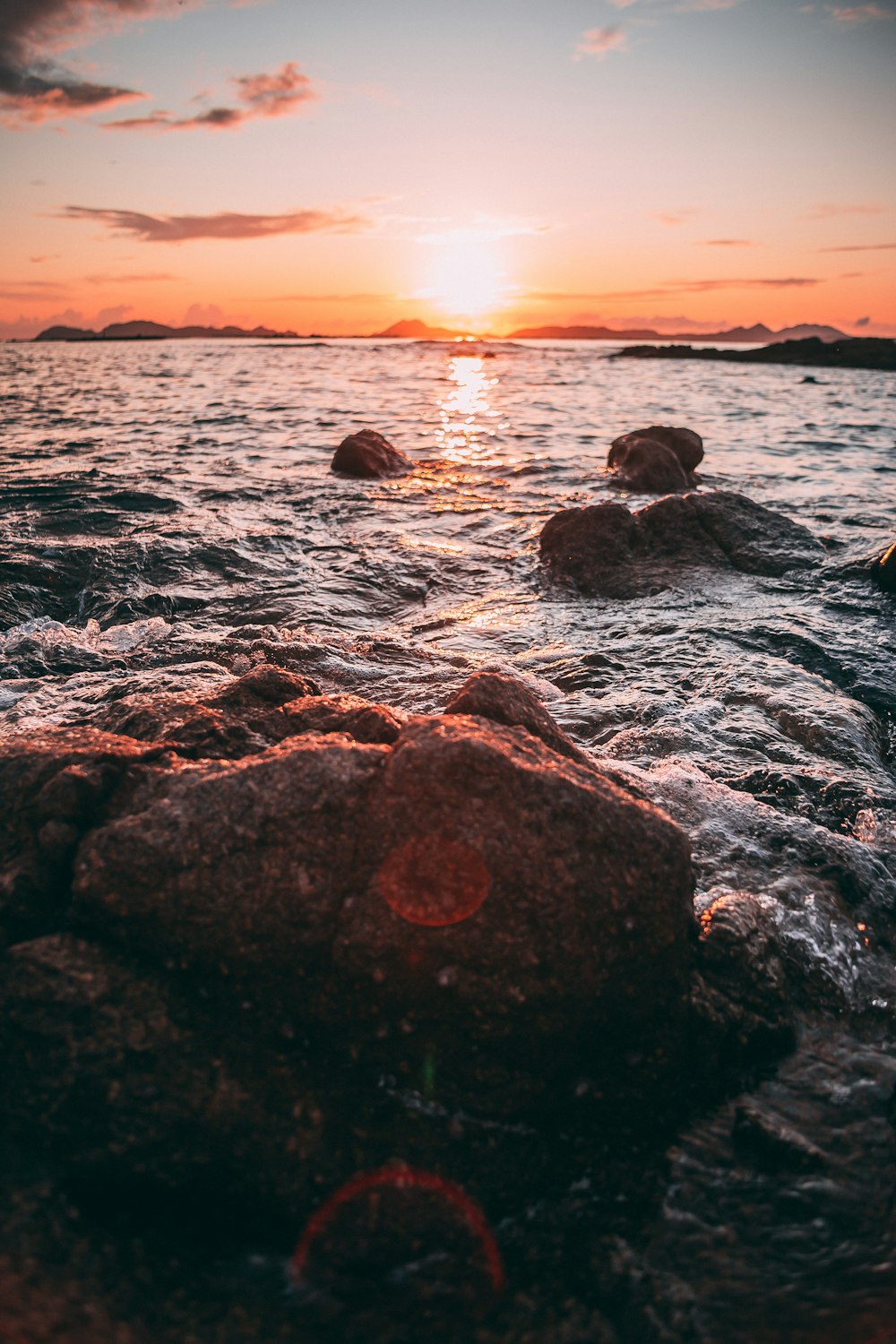 photography of seashore during daytime