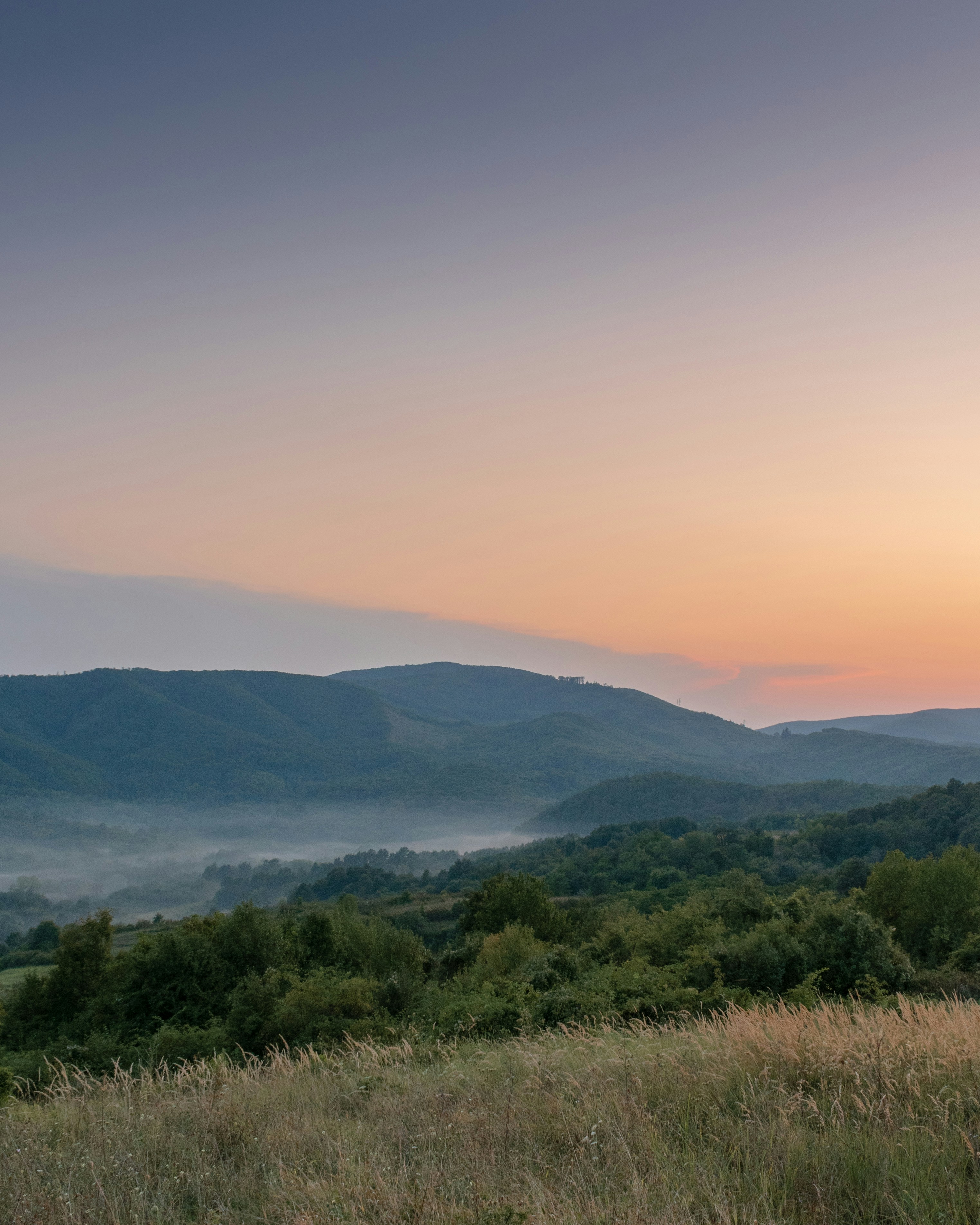 Photo by vjeblackbirdlion