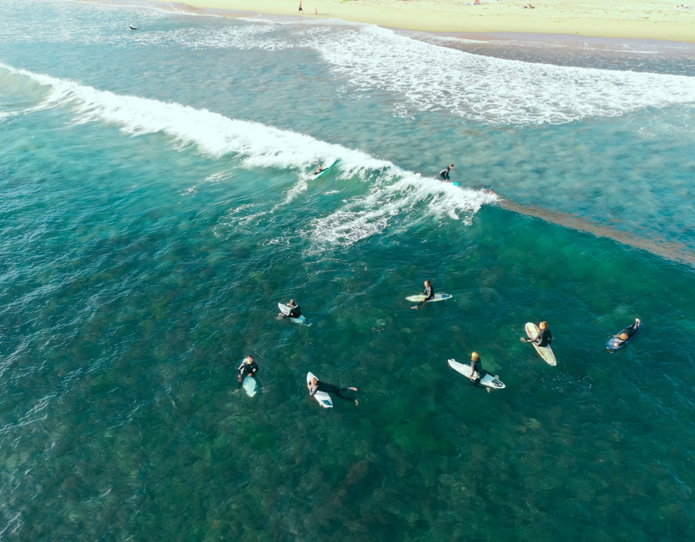 people surfing during daytime