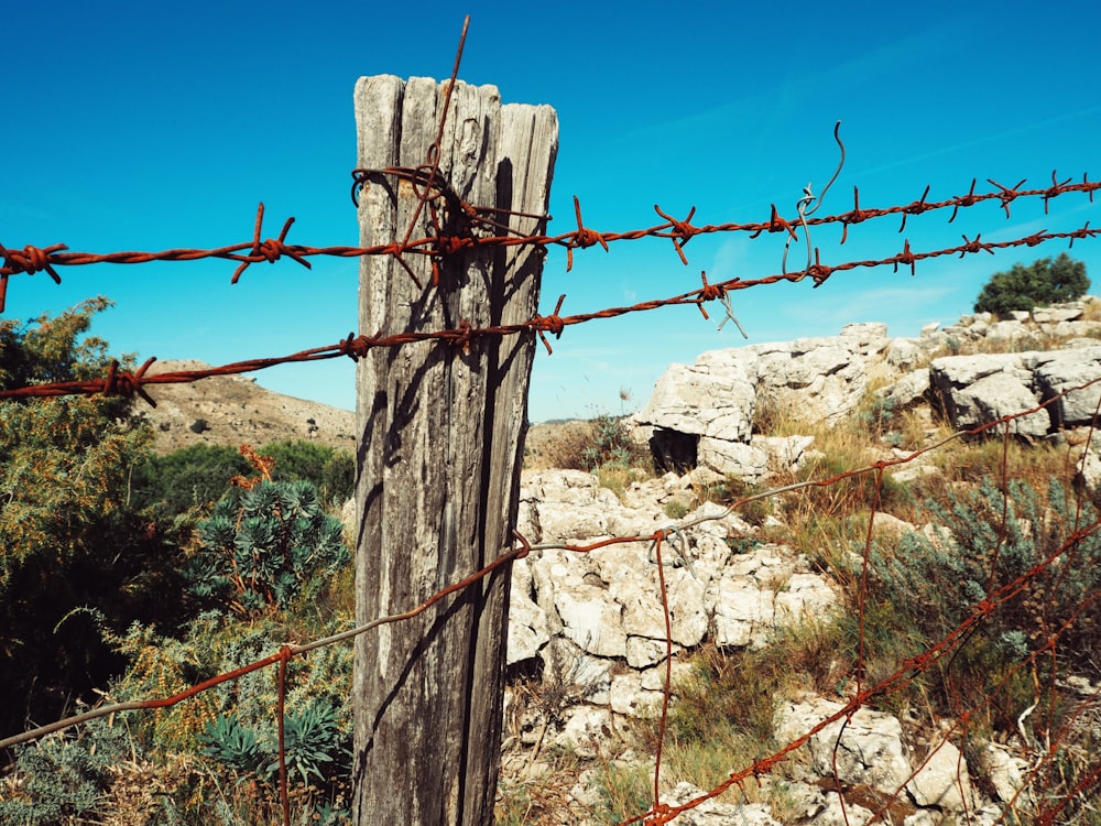 brown wooden post with barbed wire fence