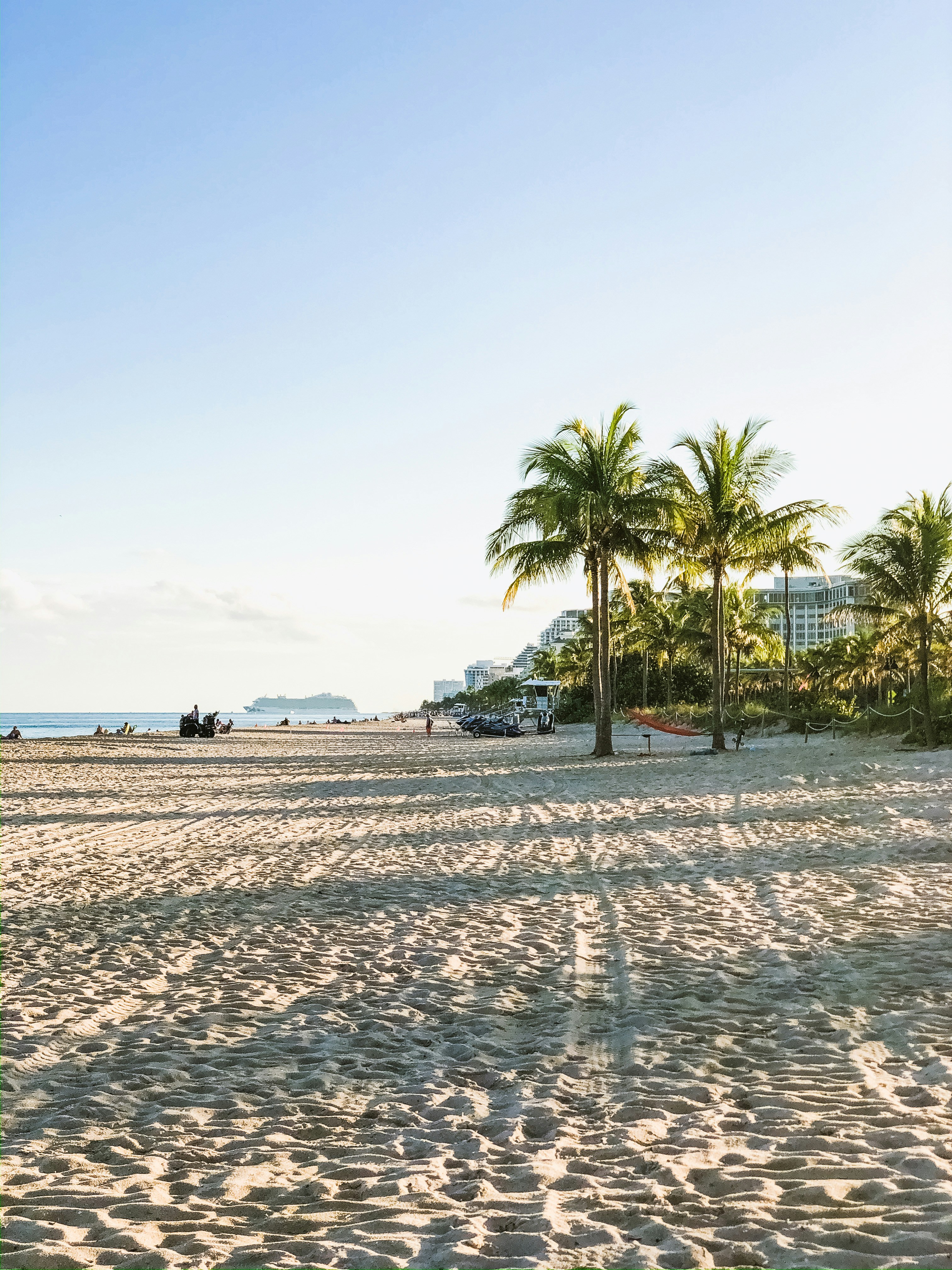 coconut trees on sand