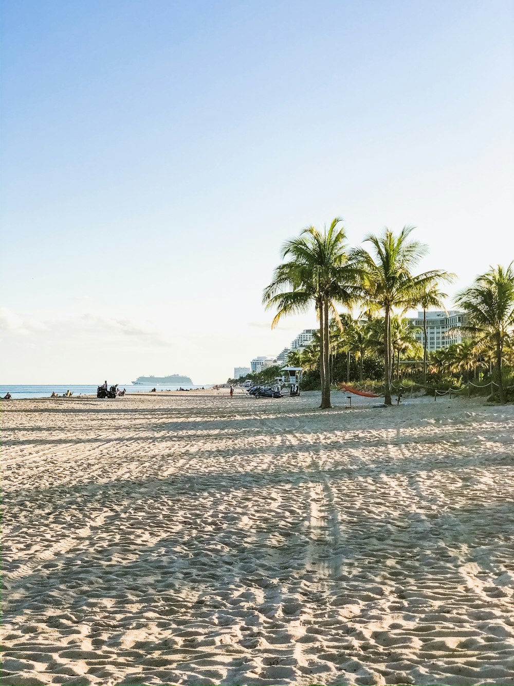 coconut trees on sand