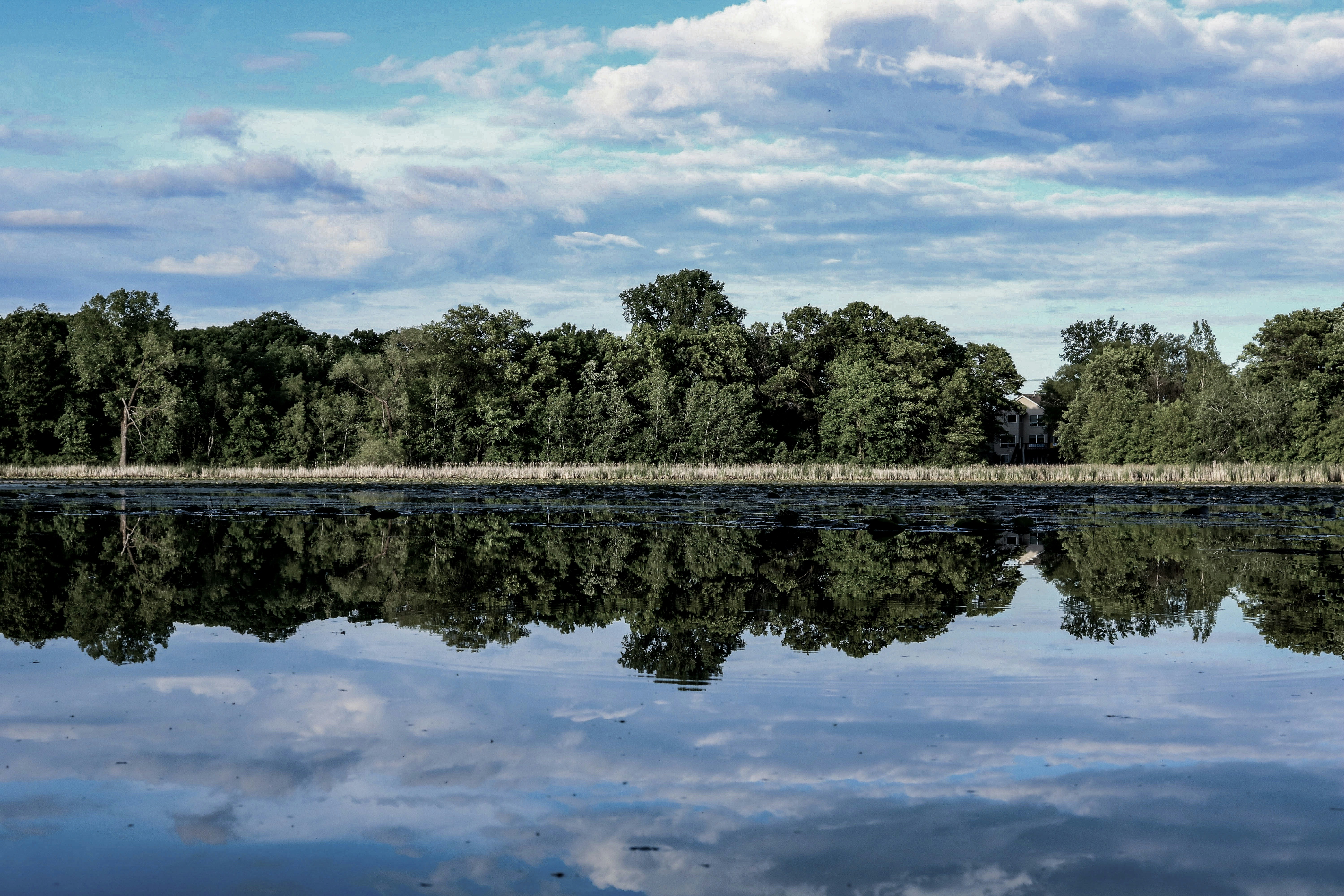 Photo by eternalseconds