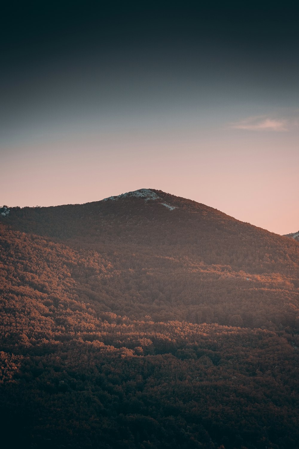 brown mountain during daytime