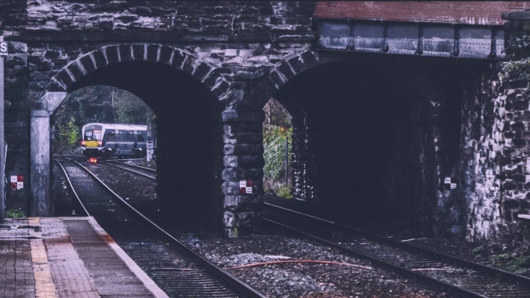 white and gray train during daytime