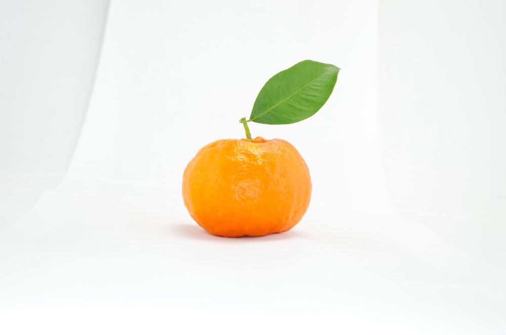 runde orangefarbene Frucht