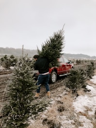 man carrying christmas tree