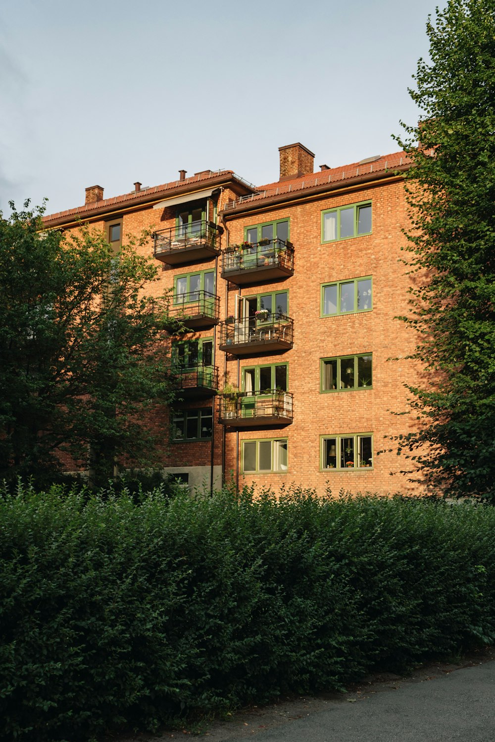 bush and trees by bricked building during daytime