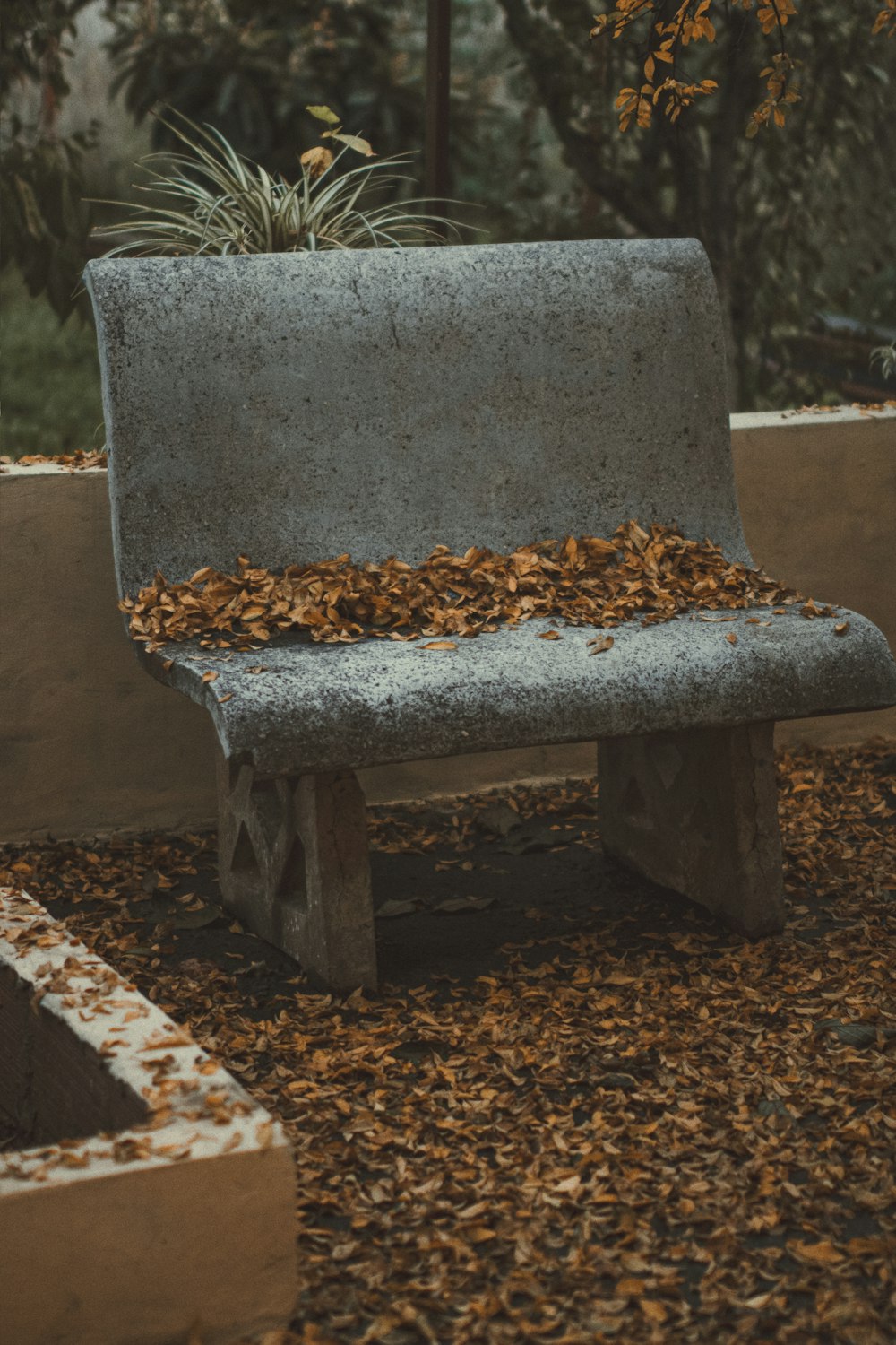 gray concrete bench filled with brown leaves