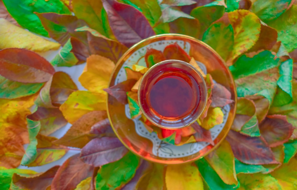 liquid in bowl on top of leaves