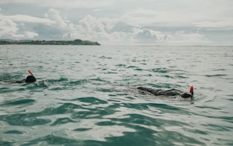 Snorkelers swimming above crystal-clear waters near Paradise Orange Island.