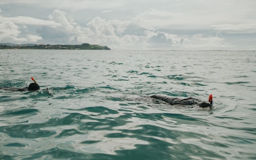 Snorkelers swimming above crystal-clear waters near Paradise Orange Island.