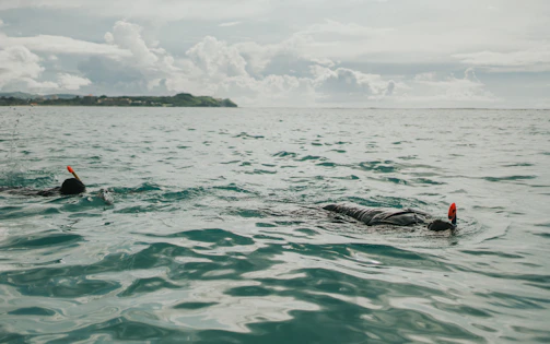 Snorkelers exploring the vibrant underwater life near the Puertitos cove on Lobos Island.