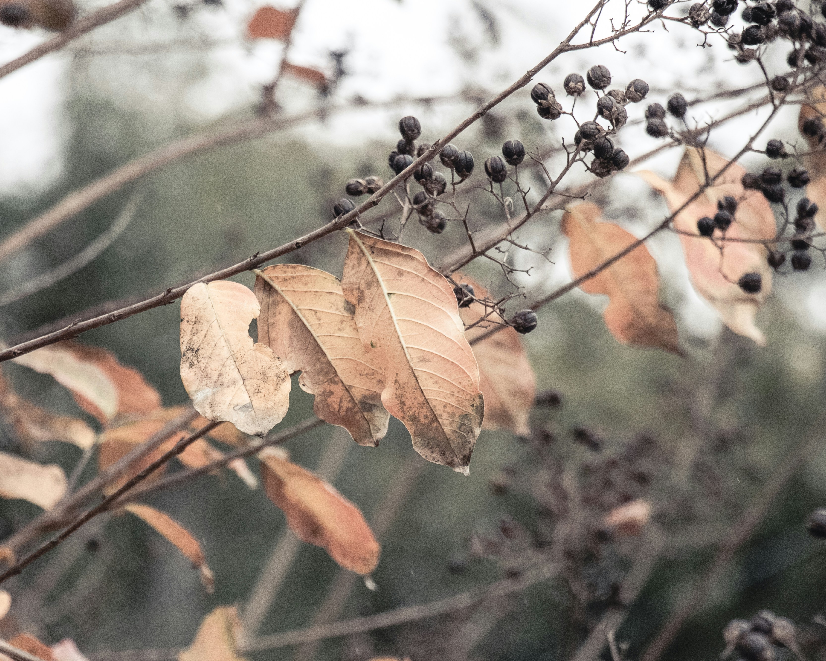 Photo by hudsoncrafted