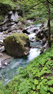 Lush green landscape of Río Claro river and caves.