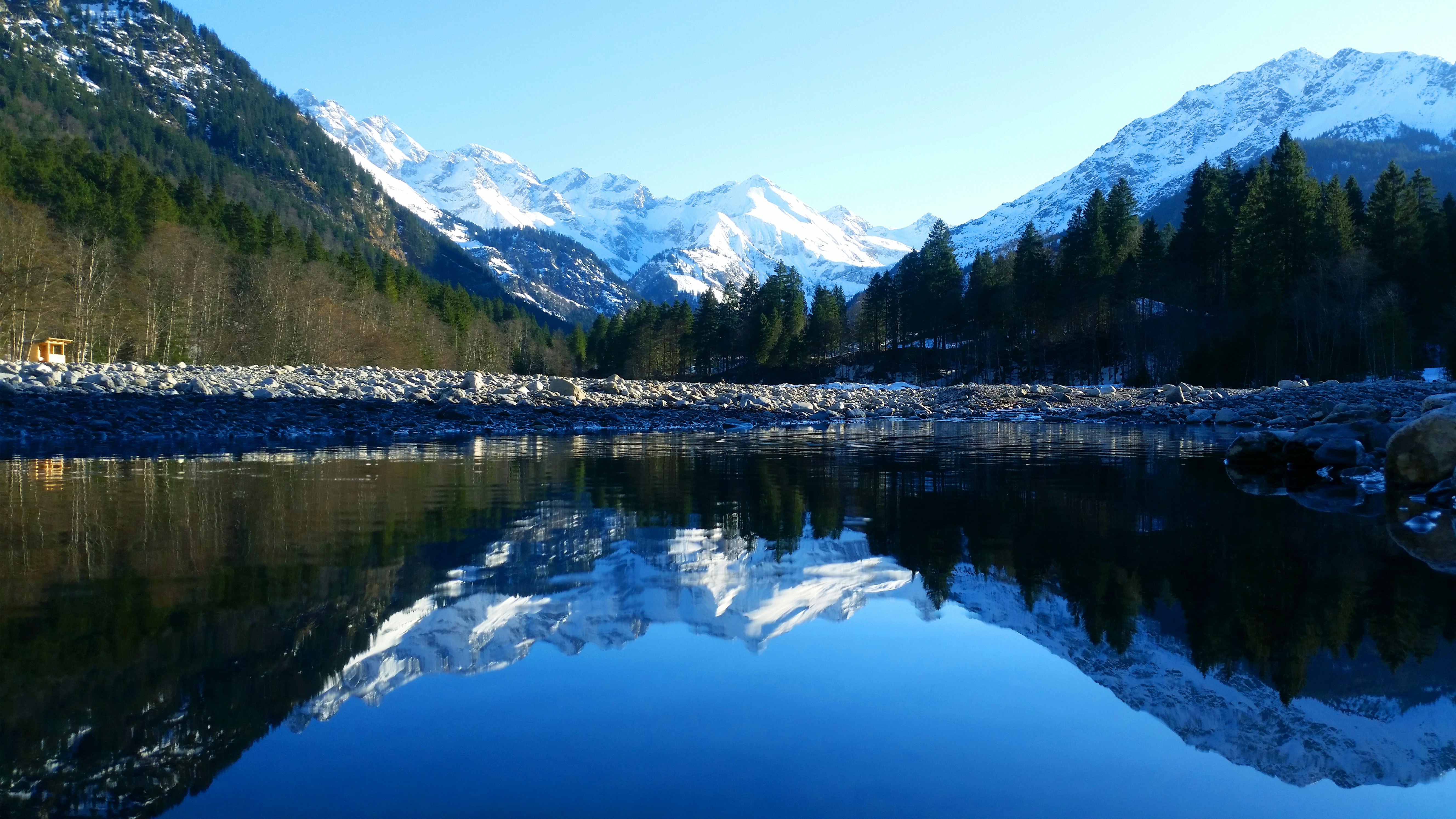 calm water surrounded with trees at daytime