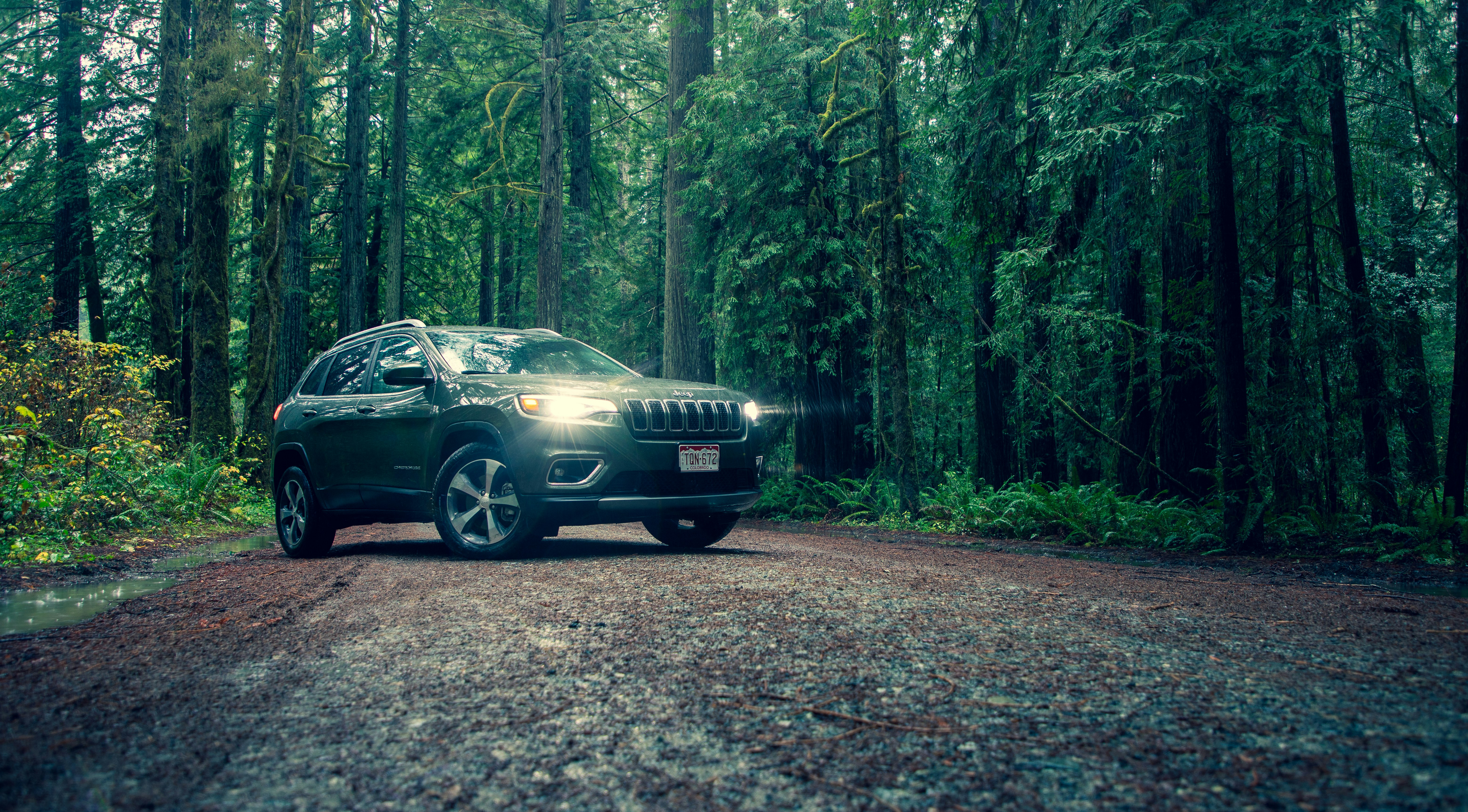 black Jeep Cherokee on roadway surrounded by trees