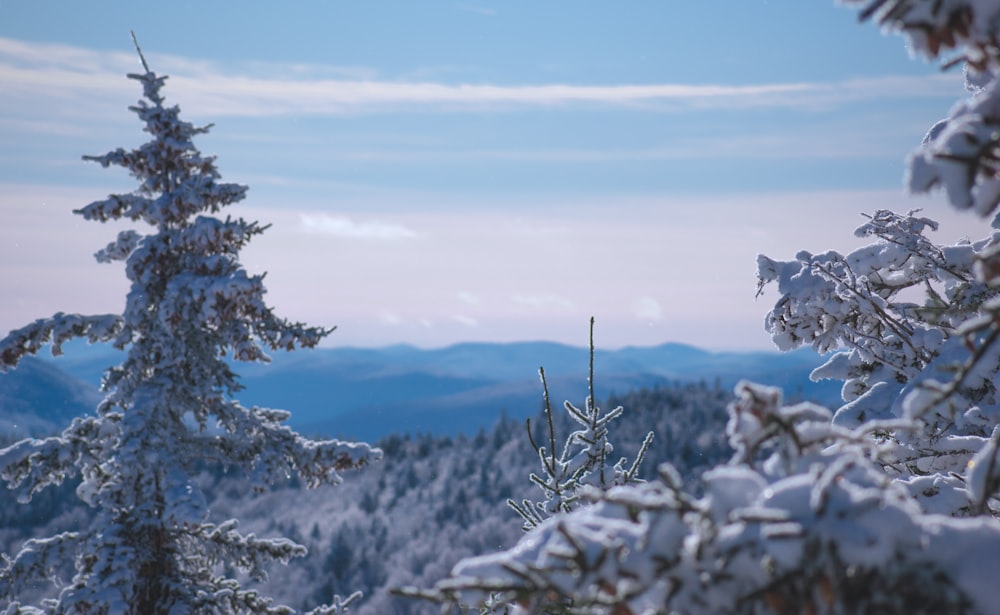 snow covered mountain during daytime