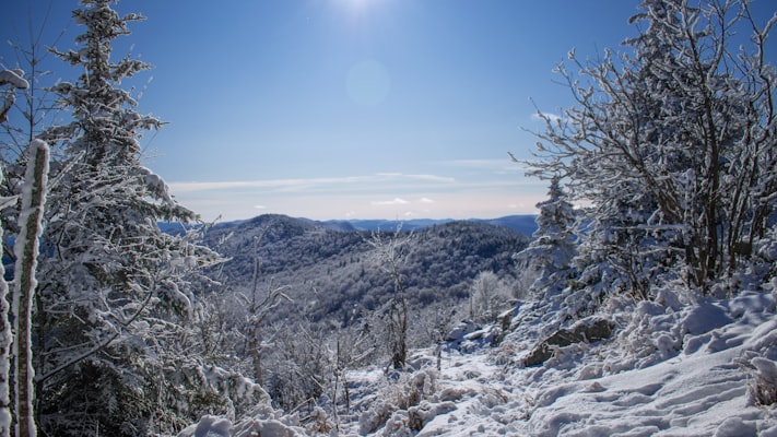 Snow-covered forest and ridgeline in northern Vermont