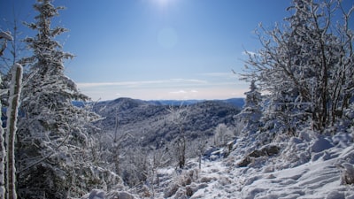 snow-covered trees and mountains vermont google meet background