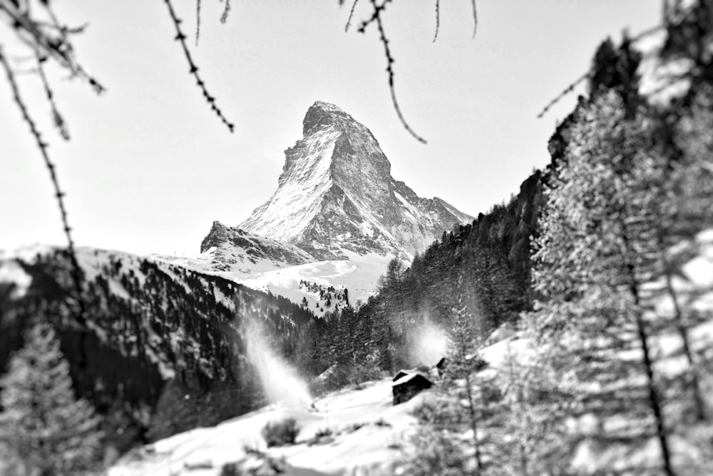 Graustufenfotografie von schneebedeckten Feldern und Bergen